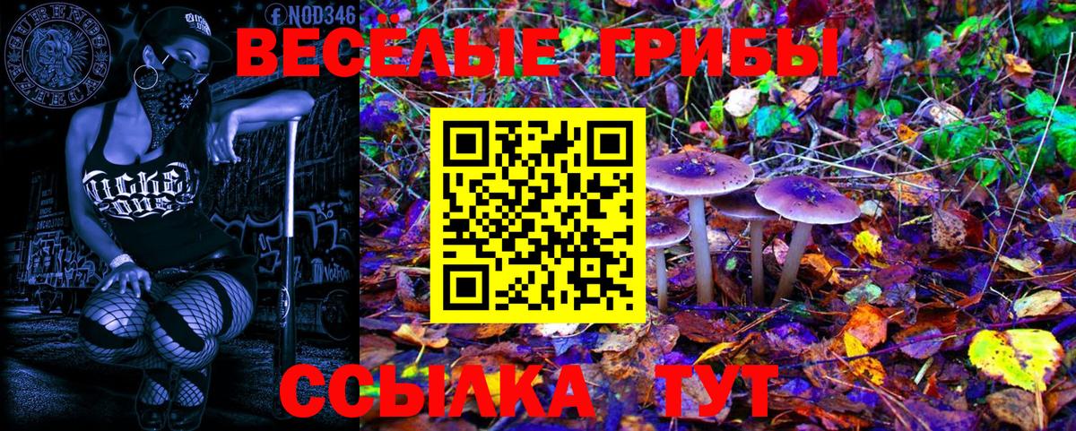 Тула  Галлюциногенные грибы Psilocybine cubensis  Вход с VPN 